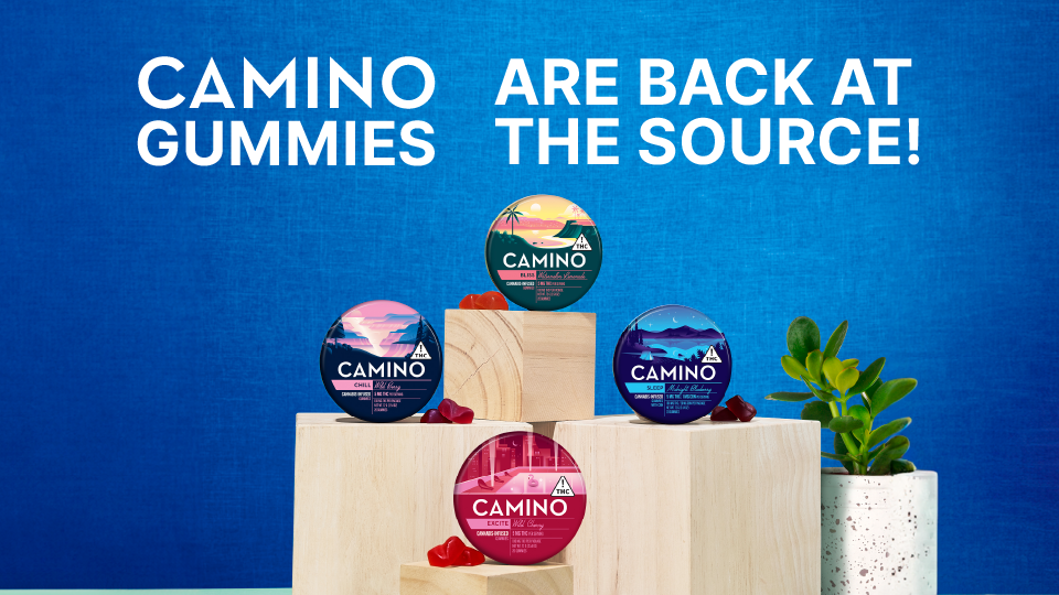 DELECTABLE Camino Gummies are BACK at The Source, Your Home for Camino!