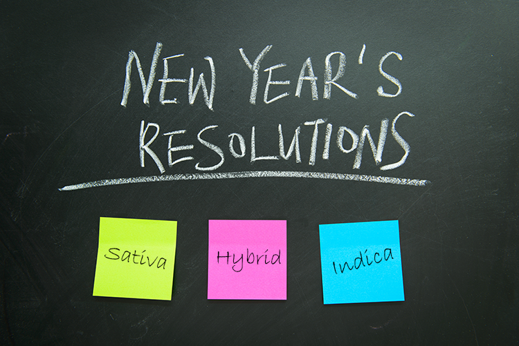 5 Products to Help Keep You On-Track for New Year’s Resolutions!