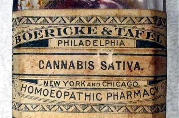 How to Make Cannabis Tinctures