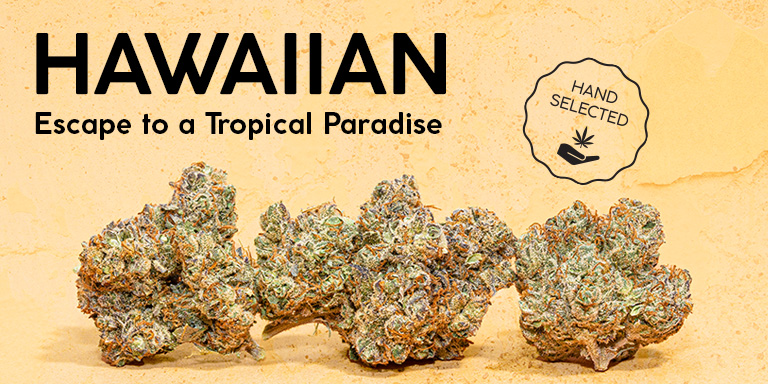 hawaiian fresh drop the source cannabis marijuana dispensary las vegas nevada delivery order online weed mmj