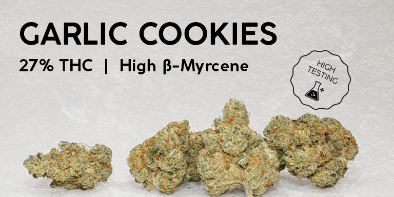 garlic cookies fresh drop the source cannabis marijuana dispensary las vegas nevada delivery curbside mmj deals