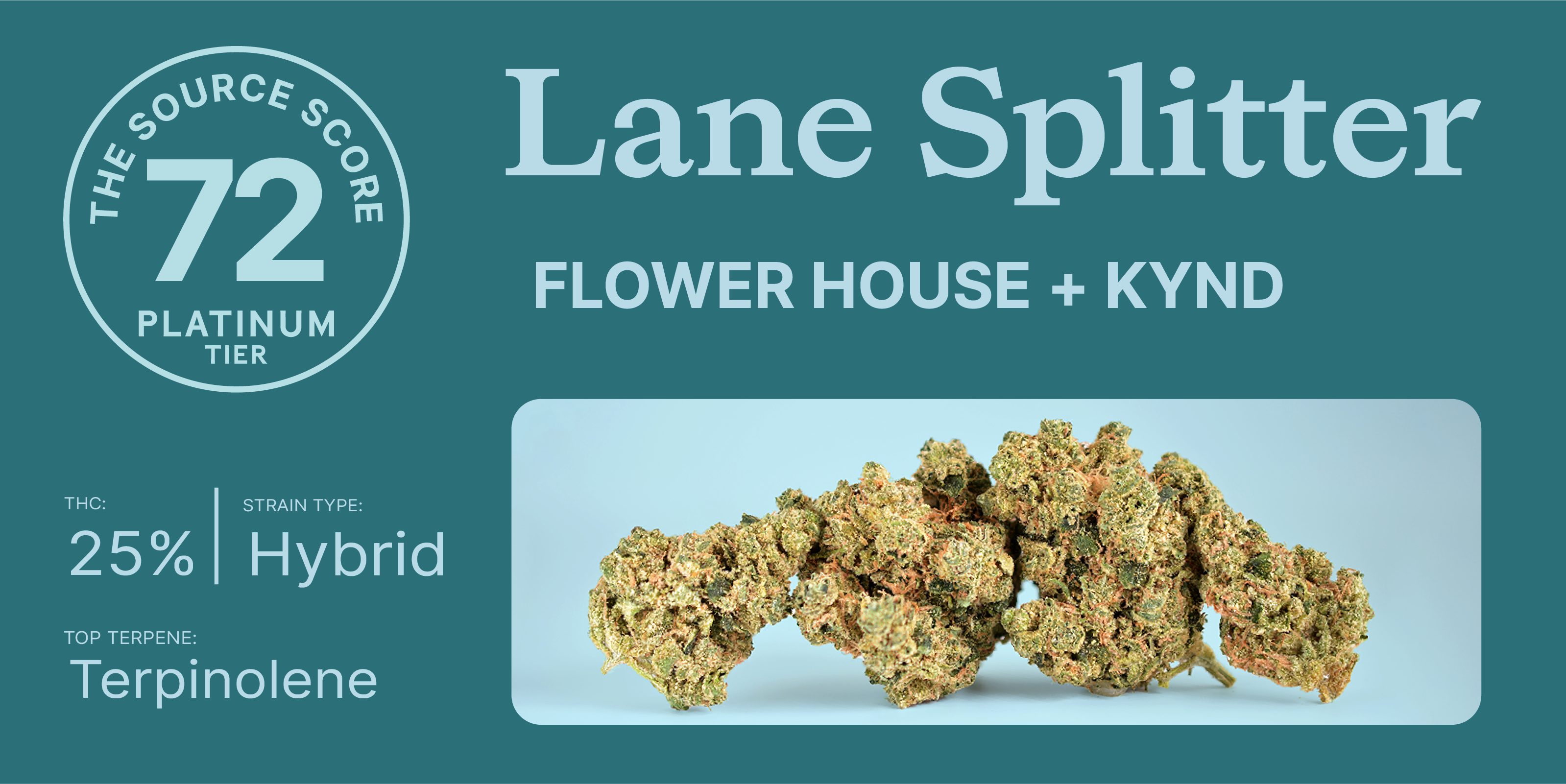 lane splitter mobile ad 1