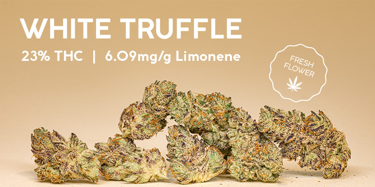 white truffle fresh drop the source dispensary cannabis marijuana store delivery las vegas nevada