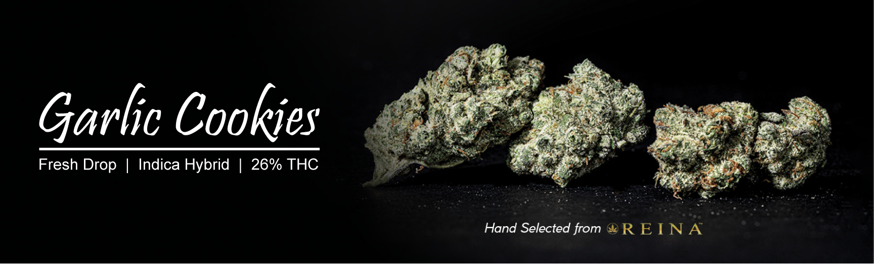 garlic cookies fresh drop new at The Source+ cannabis marijuana dispensary