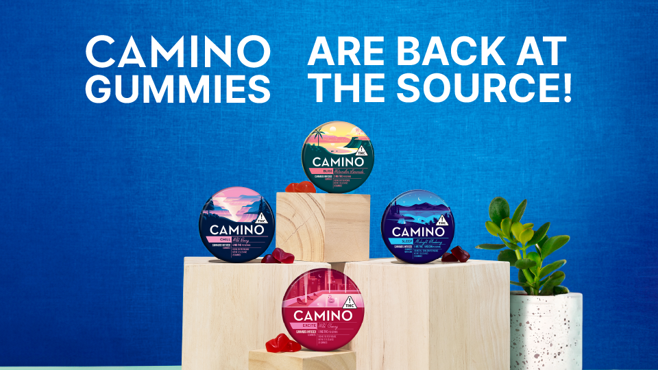 camino sours are dropping at The Source