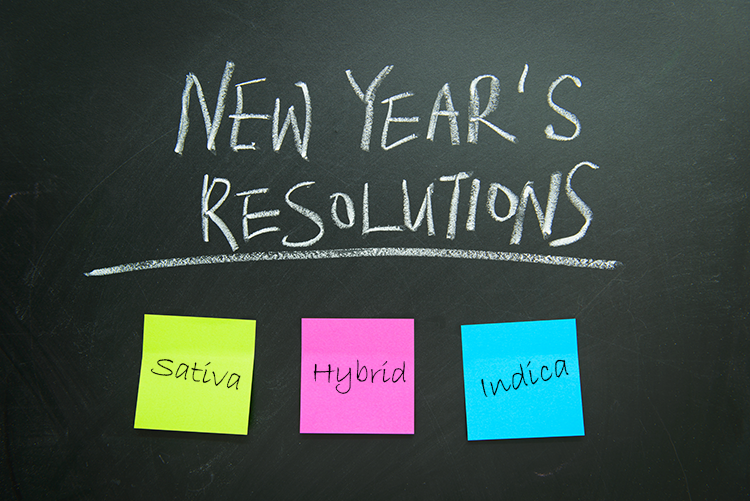 new year's resolutions blog 2024