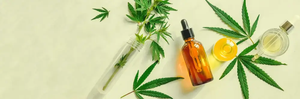 Cannabis (1) (1)
