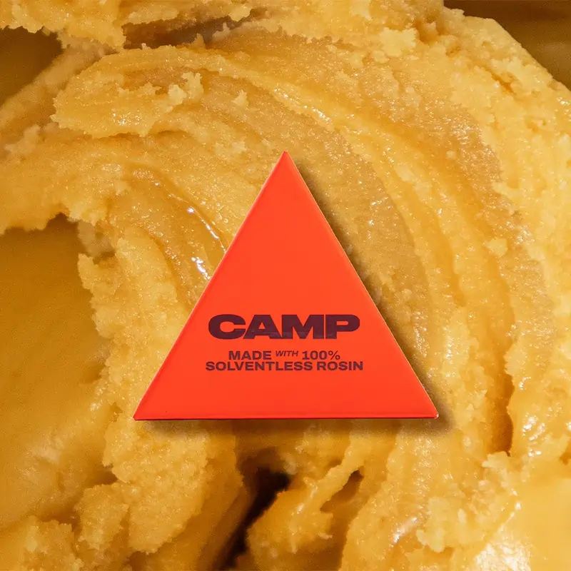 Rosincamp